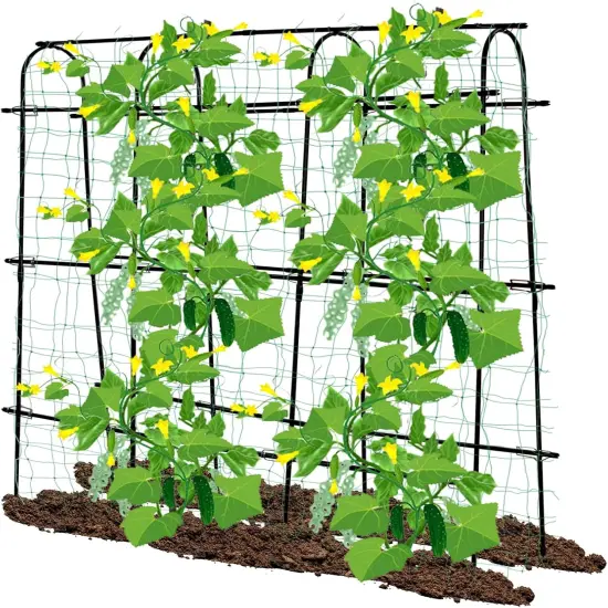 Cucumber Trellis for Raised Beds 70.8" L x 11.8" W x 70.8" H {1}