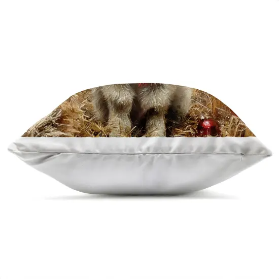 Stupell Industries Baby Donkey & Holiday Lights Outdoor Printed Pillow design by Riley B, 18 x 7 x 18 {3}