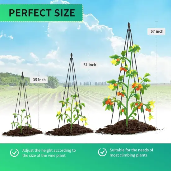 2 Pack Garden Trellis for Climbing Plants {2}