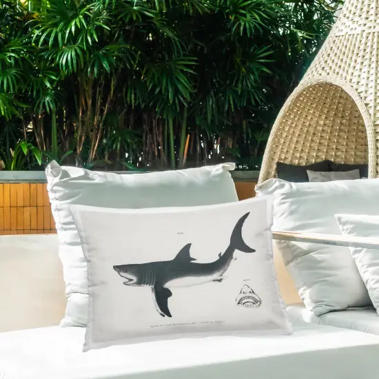 Stupell Industries Detailed Shark Diagram Outdoor Printed Pillow design by Phillipa Katz, 14 x 7 x 20 {2}