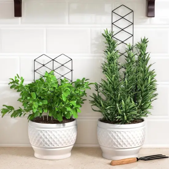 Stackable Metal Trellis for Potted Plants - 4 Packs {2}