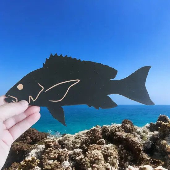 Sign - CUSTOM - Red Snapper {7}