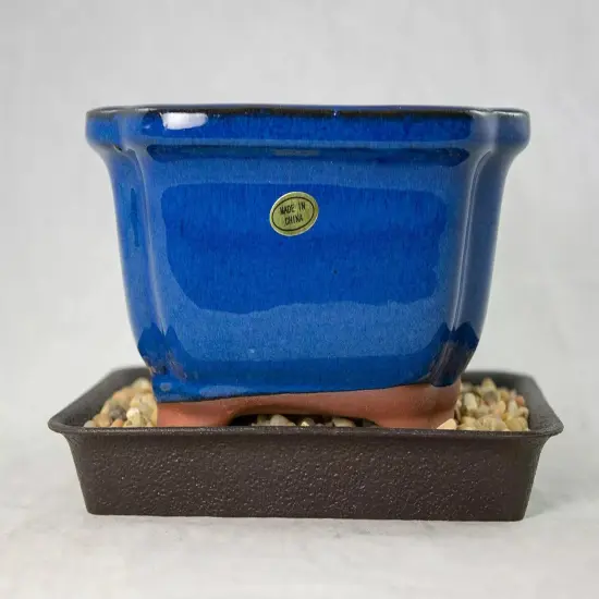 6" Rectangular Dark Blue Shohin Bonsai/Succulent Pot + Tray + Rock + Mesh Combo {4}