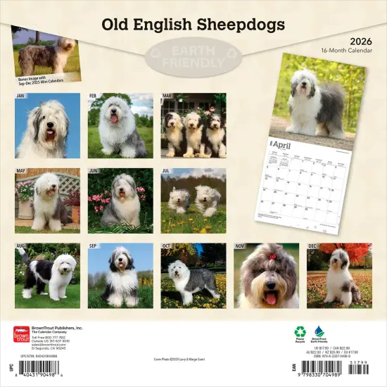 Old English Sheepdogs | 2026 12 x 24 Inch (Hanging) Monthly Square Wall Calendar | Plastic-Free {2}
