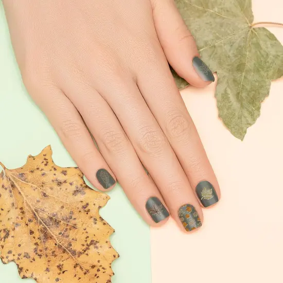 3 Sheet Fall Thanksgiving Nail Art Stamping Plates {5}