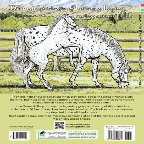 Wonderful World Of Horses Coloring Book-Softcover {3}