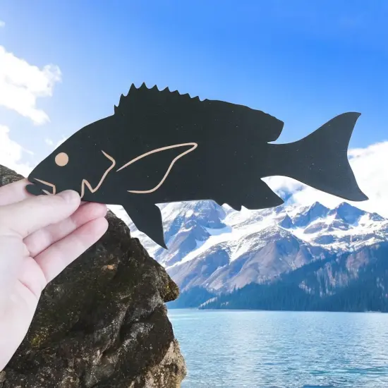 Sign - CUSTOM - Red Snapper {6}