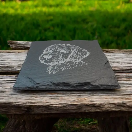 Coaster - Slate - Golden Doodle - SET OF 2 {2}