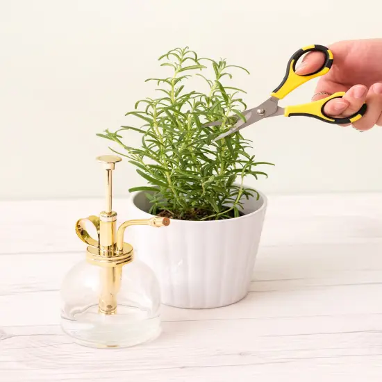 American Crafts Cutter Bee Herb Scissors-Yellow/Black {4}