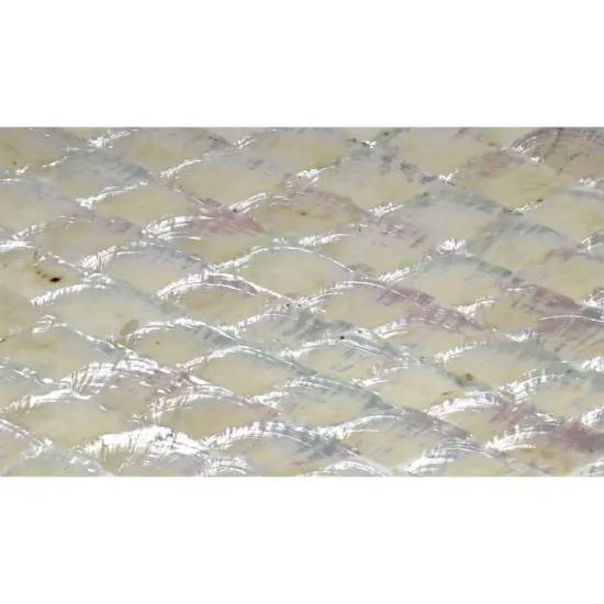 Shell Veneer, 5.5 x 9.5 inches | WMOP, BMOP, Abalone | Includes 3M Adhesive Sheet for Application, Great for Inlay Projects Pearl Natural {1}