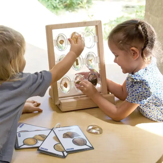 Kaplan Early Learning Company Specimen Stones: Fossils - 9 Stones {5}