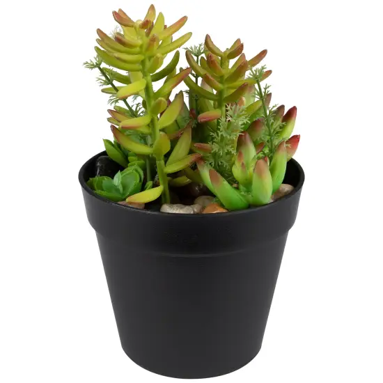Northlight Artificial Mixed Succulent Plant Arrangement - 8" Green {5}