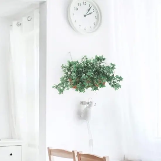 13" Mini English Ivy Bush (2-Pack) 176 Silk Leaves | UV Safe {2}