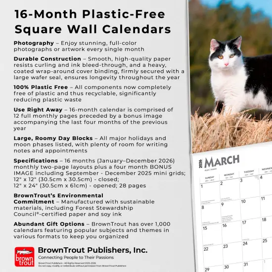 Tuxedo Cats | 2026 12 x 24 Inch (Hanging) Monthly Square Wall Calendar | Plastic-Free {6}