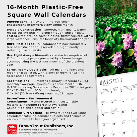 Florida Nature | 2026 12 x 24 Inch (Hanging) Monthly Square Wall Calendar | Plastic-Free {6}