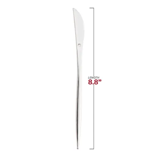 Shiny Silver Moderno Disposable Plastic Dinner Knives (300 Knives) {3}