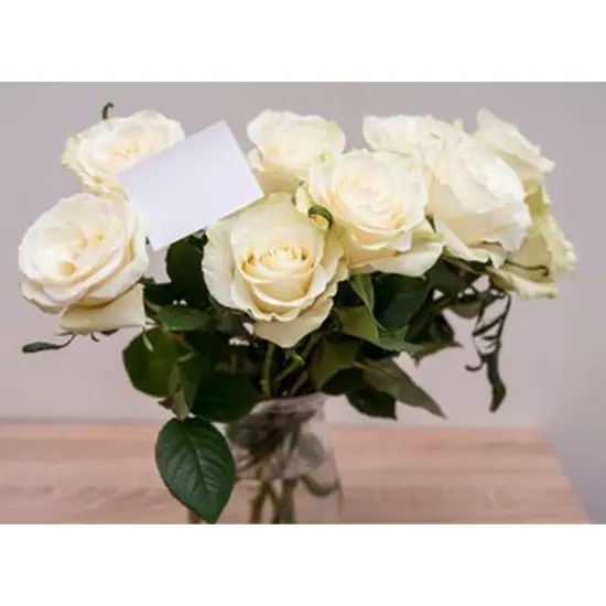 White Fold Over Tent Cards 3.5" x 2.25" 500 Box {3}