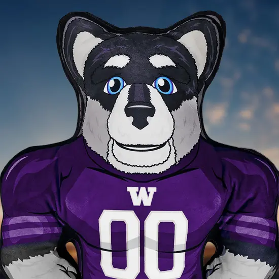 Bleacher Creatures Washington Huskies Harry the Husky 24" Mascot Bleacher Buddy {5}