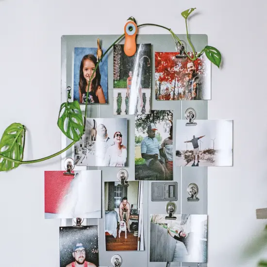 Sihl MASTERCLAS Ink Jet Luster Photo Paper 8.5x11 300 gr Sheets ref 4844 {5}