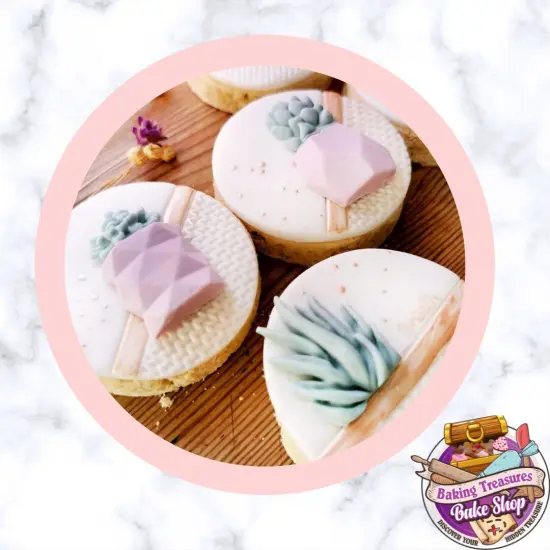 Potted Succulents Silicone Mold {2}