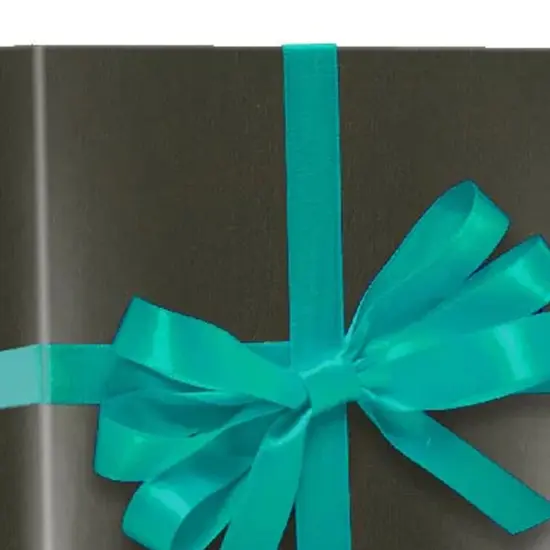 Bold Gift Wrapping Paper 24&rdquo; x 833&rdquo; {5}
