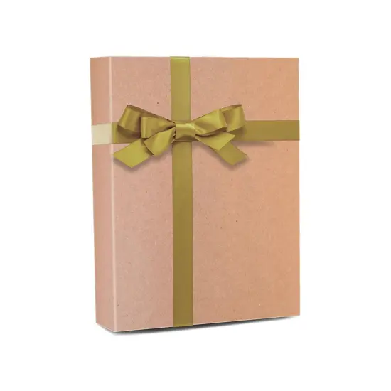 Dynamic Solid Color Paper 30" x 417' 60 lbs for Bold Statements {2}