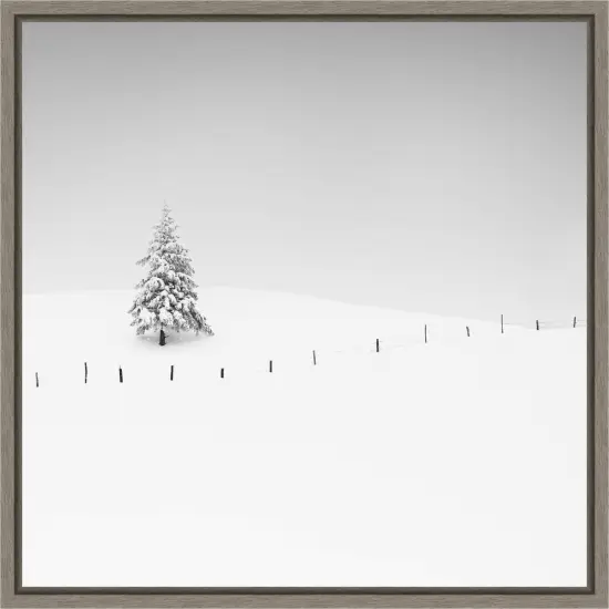 Placeholder by Alexej Schulz Framed Canvas Wall Art {1}