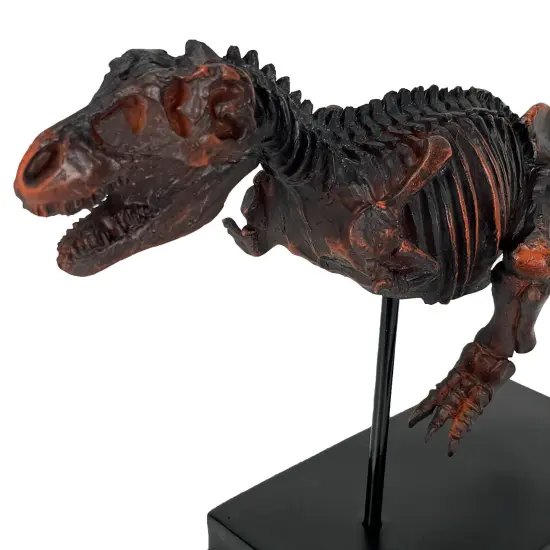 Tyrannosaurus Rex Skeleton Statue T-Rex on Museum Mount {4}