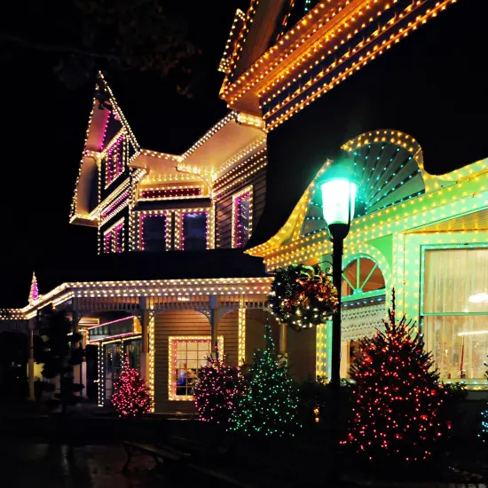 Northlight Parapet Clips for Use with Shingle Tab Christmas Clips - 100pc Clear {4}