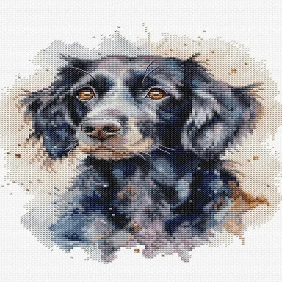 The Border Collie BC213L Counted Cross-Stitch Kit {1}