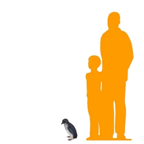 Fairy Penguin Statue {2}