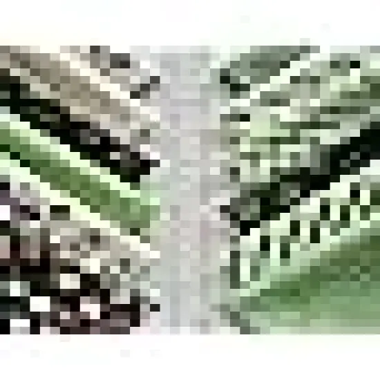 Sewing Fabric Bundle for Patchwork and Crafts {5}