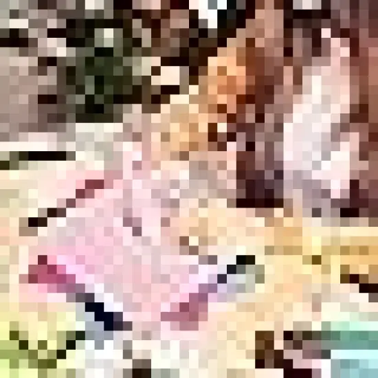 Squares Floral Patterns Sewing Quarters {2}