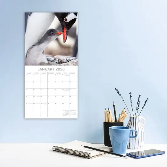 The Gifted Stationary 2026 Square Wall Calendar, Penguins 16-Month Animals Theme Hanging Calendar with 180 Reminder Stickers, Month Planner for Creative Spaces, 12x12 In Multicolor {2}