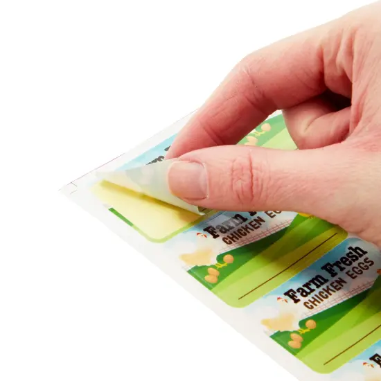 18 Pack 1 Dozen Paper Egg Cartons with Labels for 12 Chicken Eggs, 50 Self-Adhesive Labels, 1 Jute String Roll (Brown) {6}