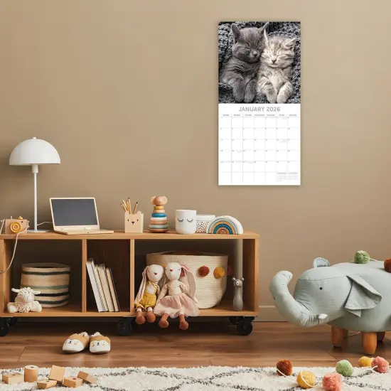 The Gifted Stationary 2026 Square Wall Calendar, Cat Naps, 16-Month Animals Theme Hanging Calendar with 180 Reminder Stickers, Month Planner for Home, or Creative Spaces, 12x12 In Multicolor {2}