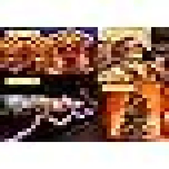 Christmas Lights for Tree Yard Party {2}