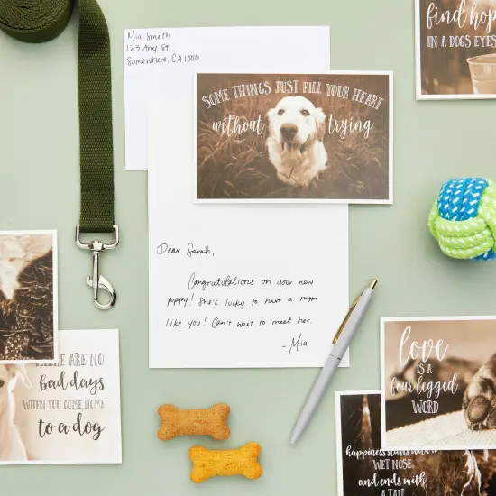 36 Pack Blank Motivational Greeting Cards with Dogs and Inspirational Quotes, Envelopes (4x6 In) Black {2}