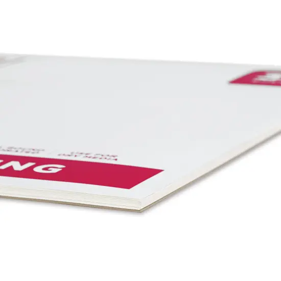 artPOP! Drawing Paper Pads, 2-Pack, 18" x 24", 30 Sheets Each, 80 lb (135gsm), Acid Free Sketchbook for Dry Media, Wirebound Sketchpad for Colored Pencil, Sketching, Graphite, Charcoal, Pastels {1}