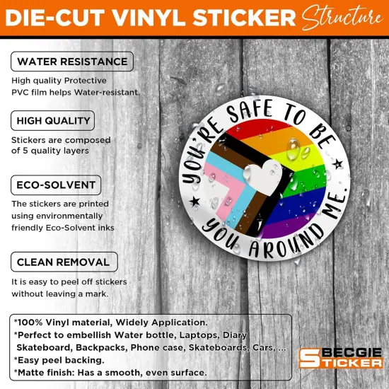 Set 3PCS 3 Inches - You're Safe with Me Ally Sticker Progress Pride Flag Trans Flag LGBTQ 3" Waterproof Vinyl Decal for Water Bottles, Tumbler, Laptop, Hard Hat, Car Gifts for Kid, Girl, Boy {2}
