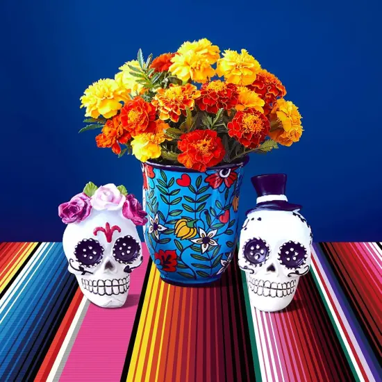 2 Pack Mexican Tablecloth Plastic 54 x 108 Rectangular Table Cover Disposable Mexican Serape Table Cloth for Cinco De Mayo Fiesta Party Baby Shower Picnic Mexican Fiesta Tablecloth {5}