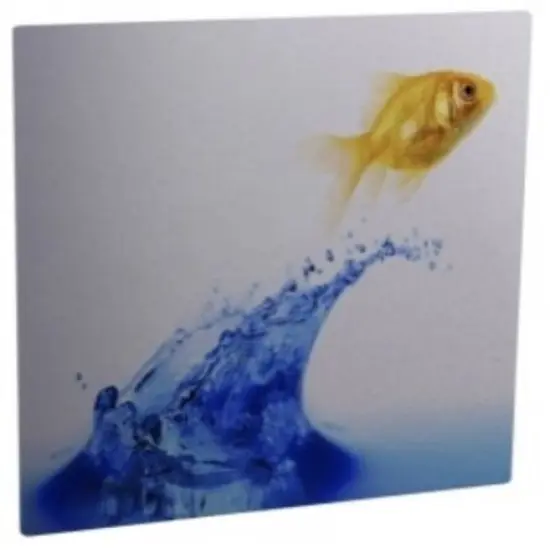 ChromaLuxe Gloss Clear Metal Print 30&rdquo;x30" .045" thick - 10 per Case 4281 {2}