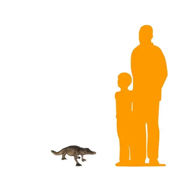 Walking Baby Crocodile Life Size Statue {2}