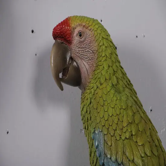 Macaw Buffon Lover Parrots Life Size Statue {6}