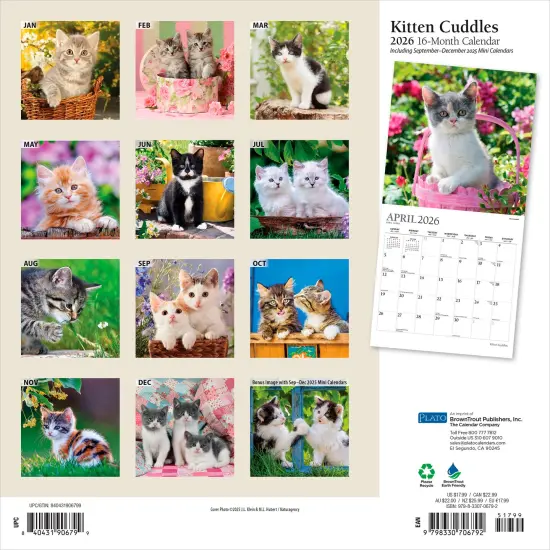 Kitten Cuddles | 2026 12 x 24 Inch (Hanging) Monthly Square Wall Calendar | Foil Stamped Cover {2}