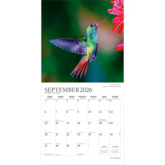 Hummingbirds | 2026 12 x 24 Inch (Hanging) Monthly Square Wall Calendar | Foil Stamped Cover {4}