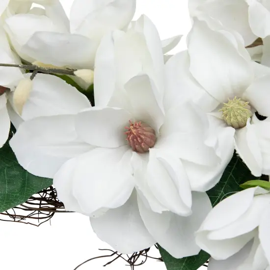 Northlight Magnolia Artificial Spring Twig Wreath - 24" - White {6}