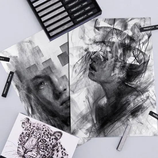 24 Pieces Black & White Vine Charcoal Sticks for Drawing, Sketching {4}