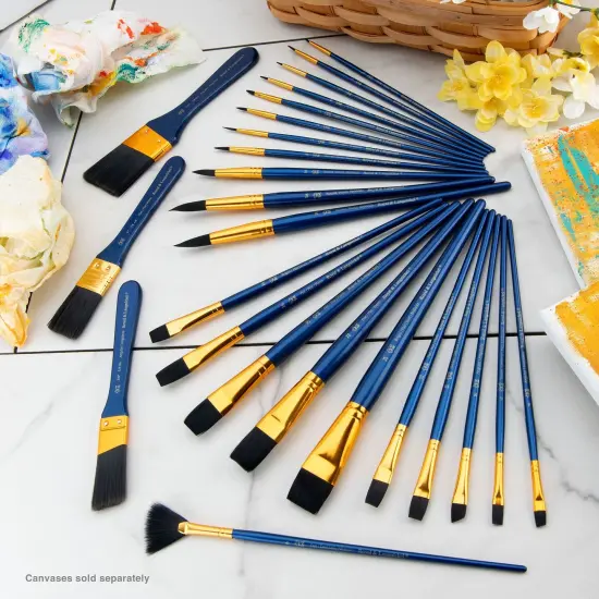 RSET-9383 | 25pc Black Taklon Variety Brush Set {5}