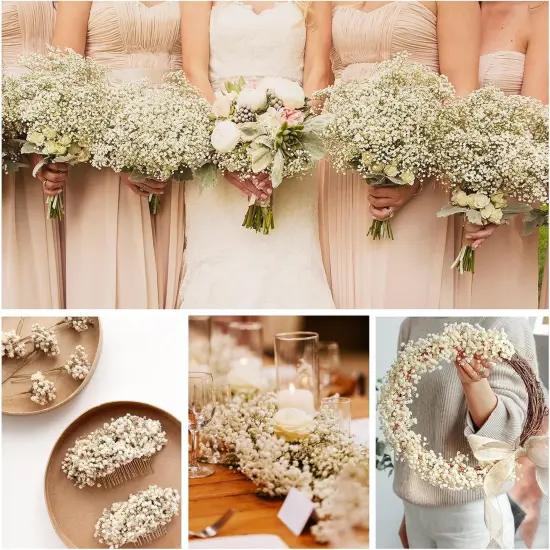 6500+ Dried-Babys-Breath-Flowers-Bouquet, Double Quantityed Ivory White Flowers, Natural Gypsophila Branches, Valentine's Day, Dry Flowers Bulk for Vase, DIY Wreath Home Party Wedding(5.7Oz) {3}